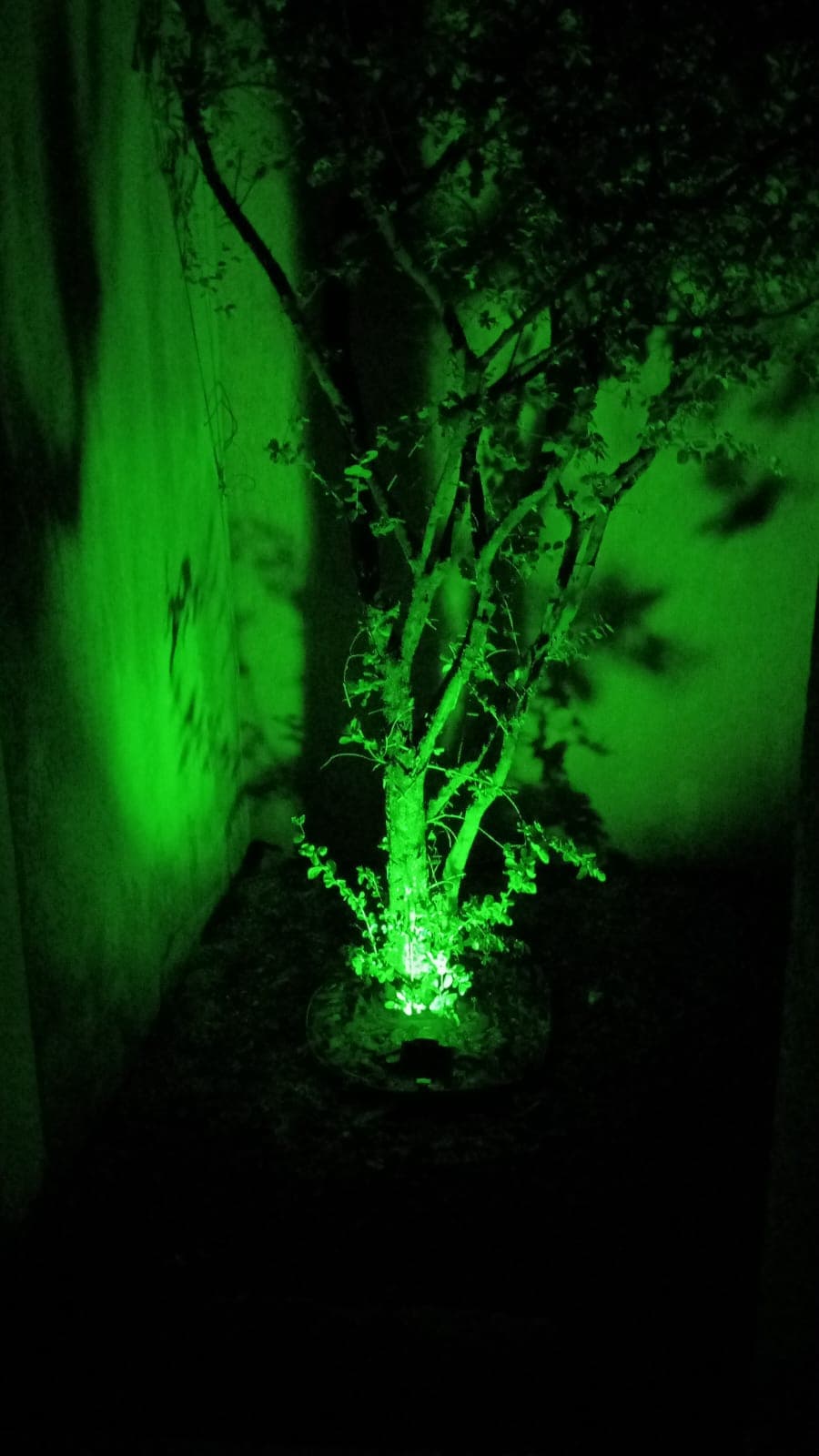 Sala íntima para descanso e convivência