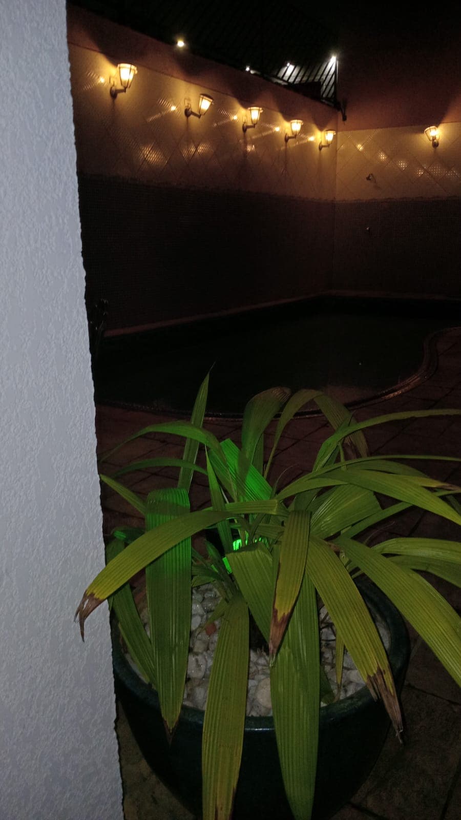 Área externa ampla para lazer e convivência